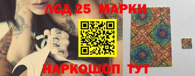 ALPHA PVP Гатчина