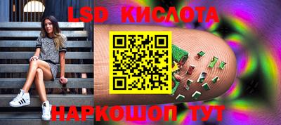 ALPHA PVP Гатчина