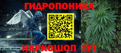 СК Гагарин