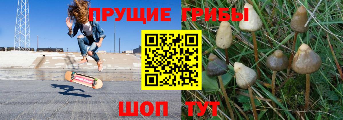 Можайск  Галлюциногенные грибы Psilocybe  Вход с VPN 